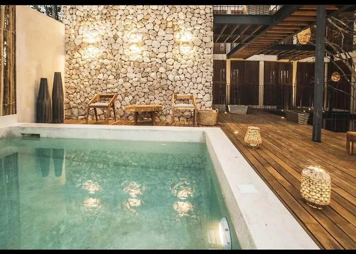 Apartamento Depa 2 Rec Y Alberca Privada En Veleta Tulum