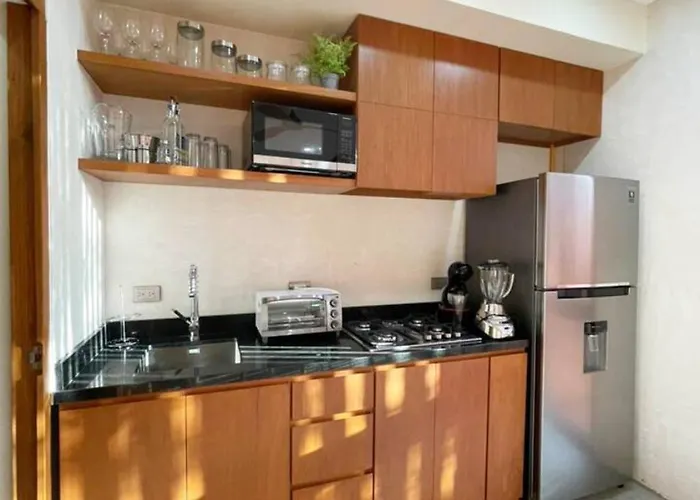 Depa 2 Rec Y Alberca Privada En Veleta *
